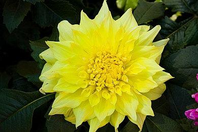 switch2新游戏卡需下载 任天堂表示不会放弃实体卡带